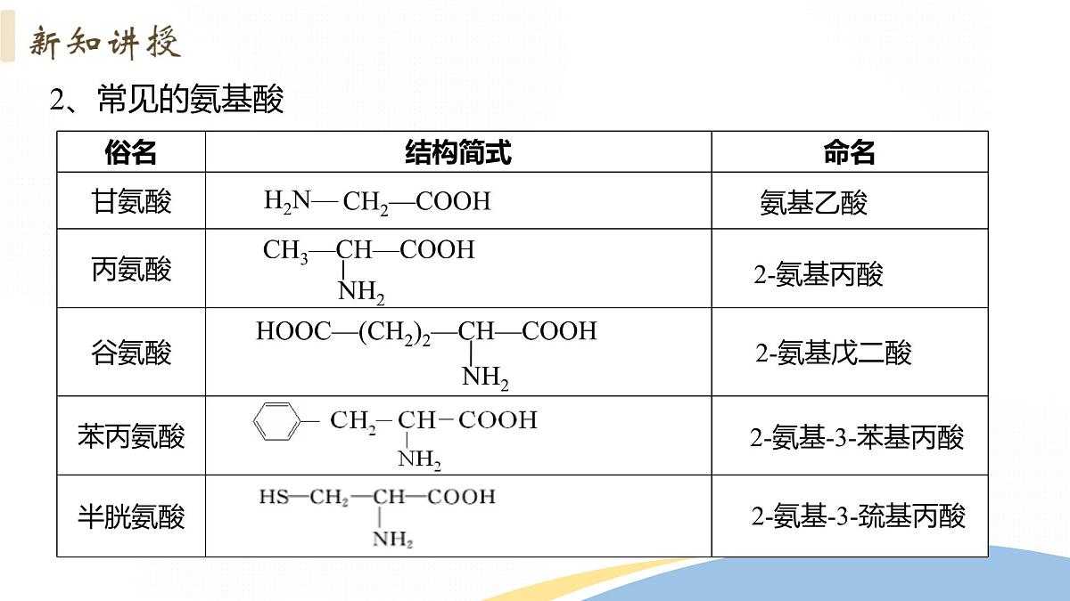 4.2+蛋白质+课件 2025学年高二下学期化学人教版选择性必修3第5页