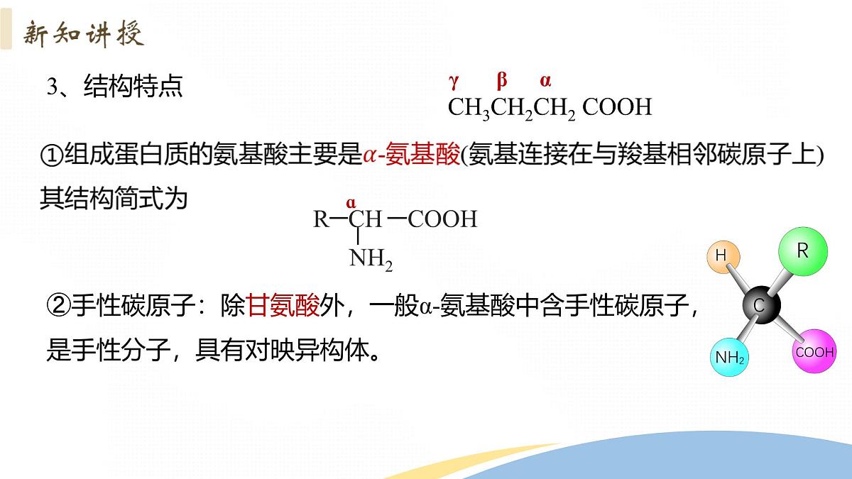 4.2+蛋白质+课件 2025学年高二下学期化学人教版选择性必修3第6页