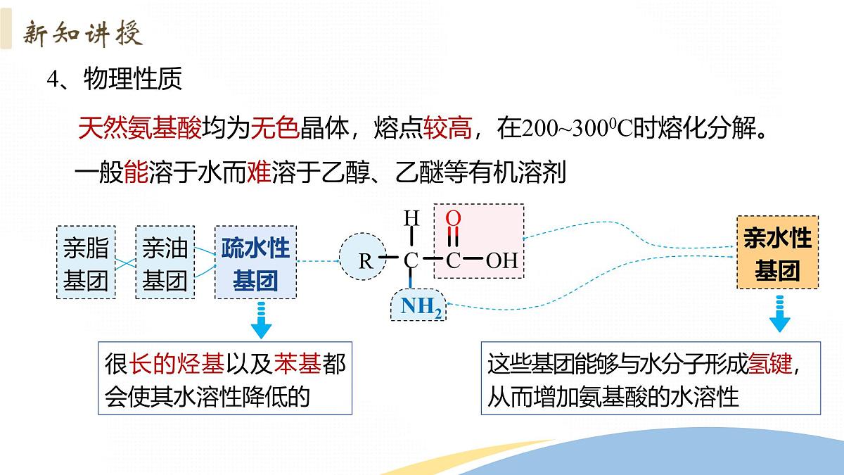 4.2+蛋白质+课件 2025学年高二下学期化学人教版选择性必修3第7页