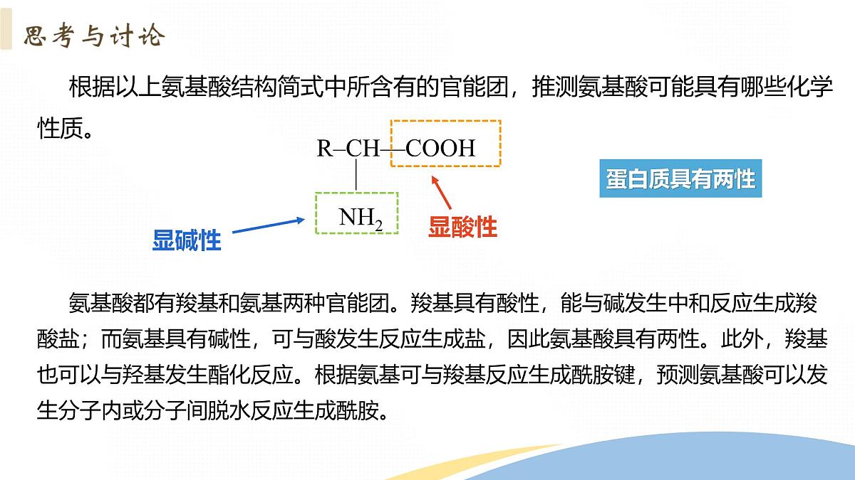 4.2+蛋白质+课件 2025学年高二下学期化学人教版选择性必修3第8页