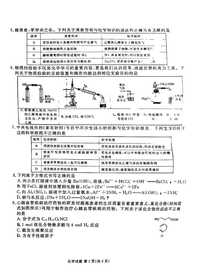 广东省衡水金卷2025届高三2月份大联考-化学试卷（含答案）第2页