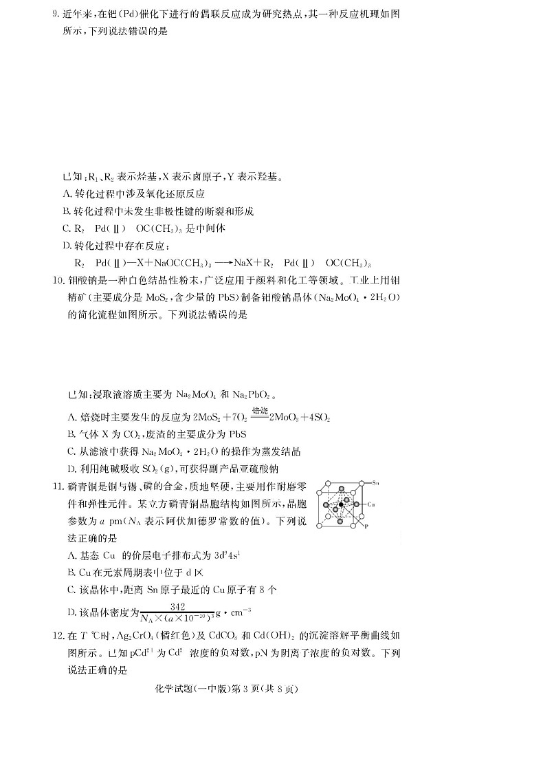 炎德·英才大联考长沙市一中 2025 届高三月考试卷（六）化学试题（无答案)第3页