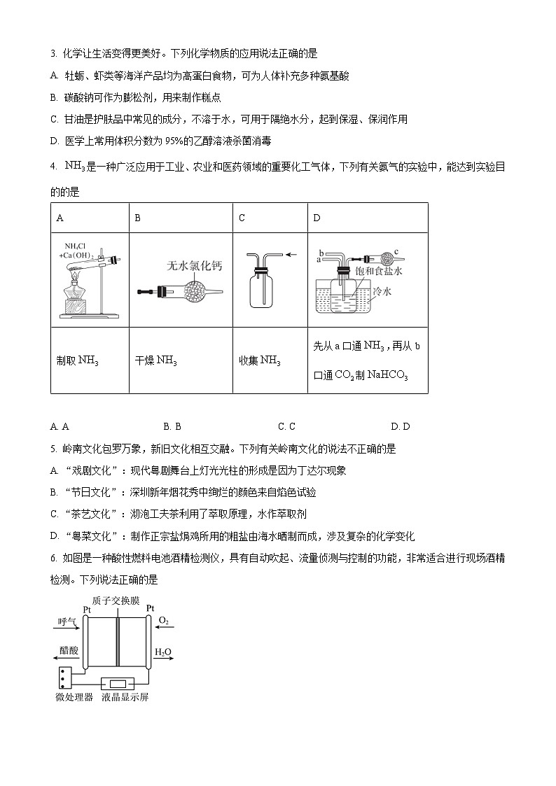 广东省湛江市2024届高三一模化学试题 Word版无答案第2页