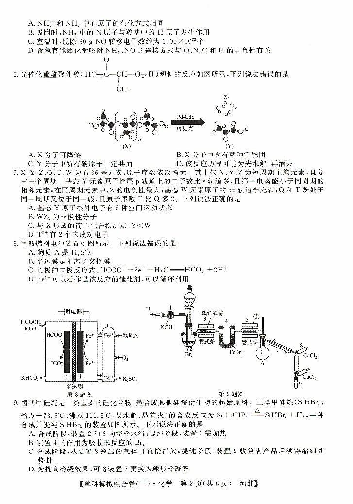 河北省市级联考2024-2025学年高三上学期11月期中考试+化学试题第2页