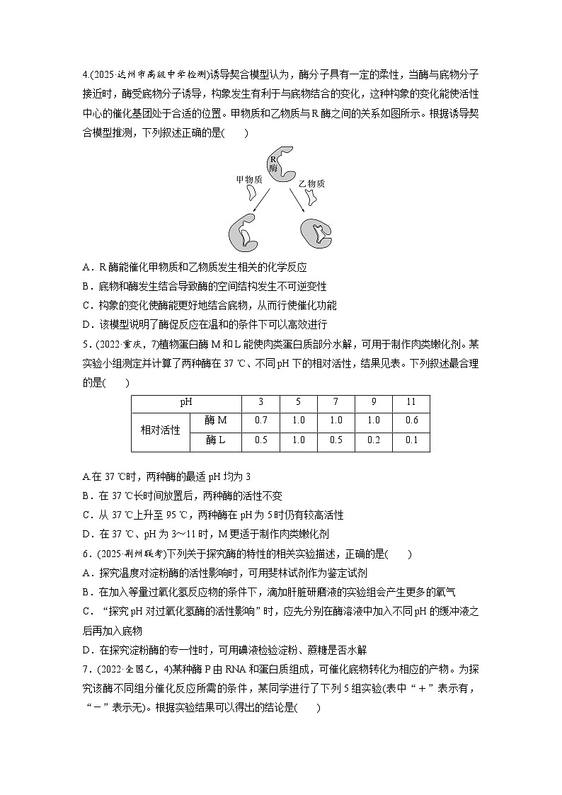 【备考2026】高考生物一轮复习资源：第3单元 课时练9 降低化学反应活化能的酶（课时精练）（学生版）第2页