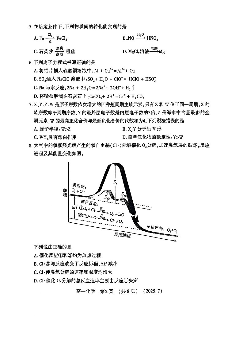 河南省洛阳市2025年高一下学期期末考试化学试卷第2页