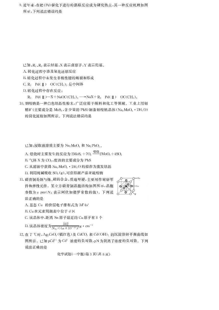 炎德·英才大联考长沙市一中 2025 届高三月考试卷（六）化学试题（学生版）第3页