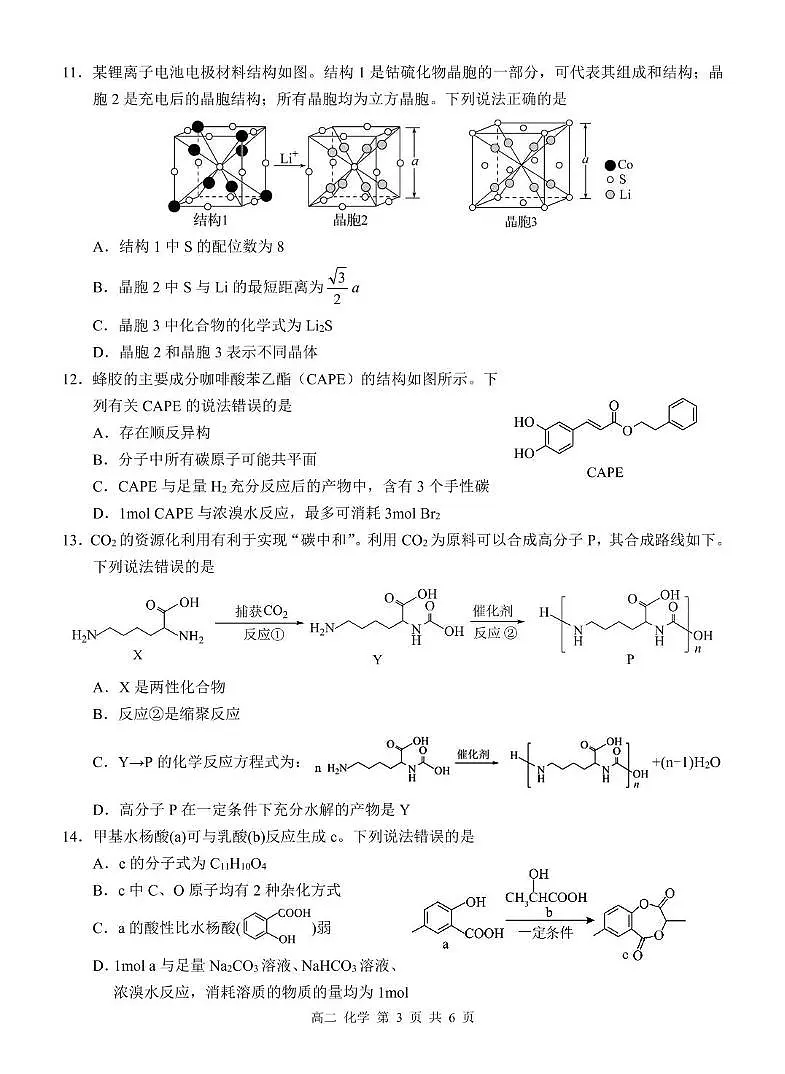 广西河池市2024-2025学年高二下学期7月期末考试 化学 PDF版含解析第3页