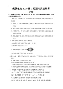 湖南省2025届2月高三下学期开学联考化学试题（含答案）