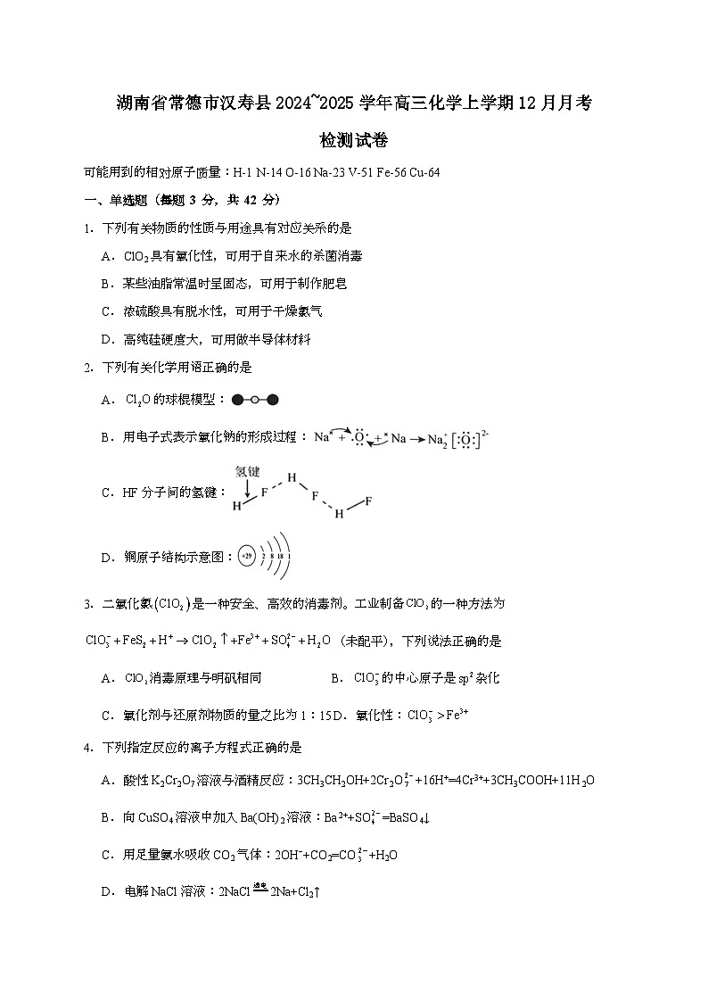 湖南省常德市汉寿县2024_2025学年_高三化学上学期12月月考检测试卷[有解析]第1页