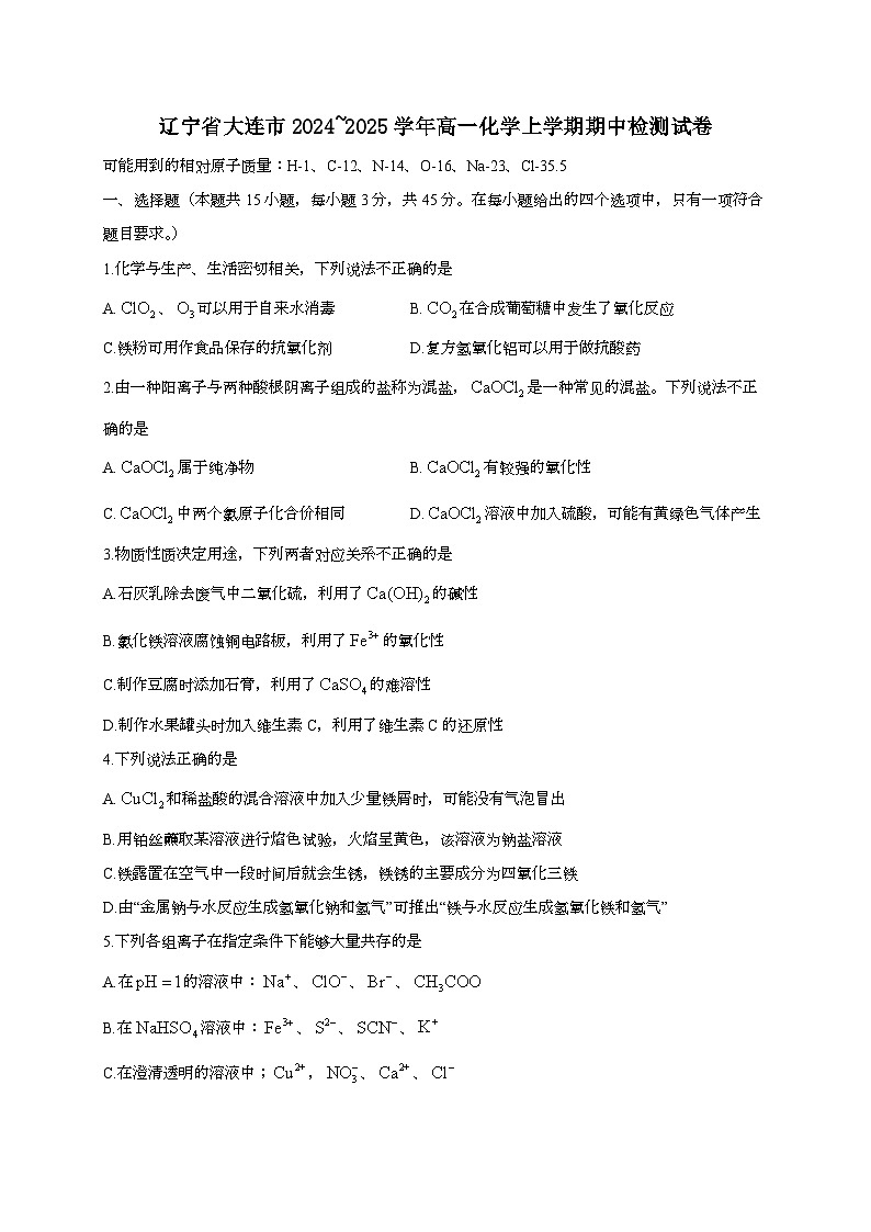 辽宁省大连市2024_2025学年_高一化学上学期期中检测试卷第1页