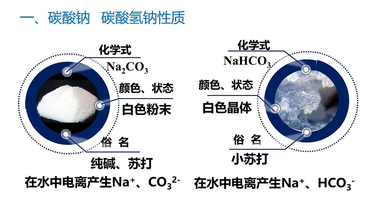 苏教版高中化学必修第一册3.2.2《碳酸钠+碳酸氢钠》课件第5页