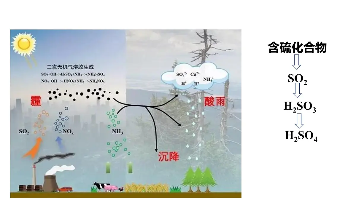苏教版高中化学必修第一册4.2《硫及其化合物之间的相互转化》课件第4页