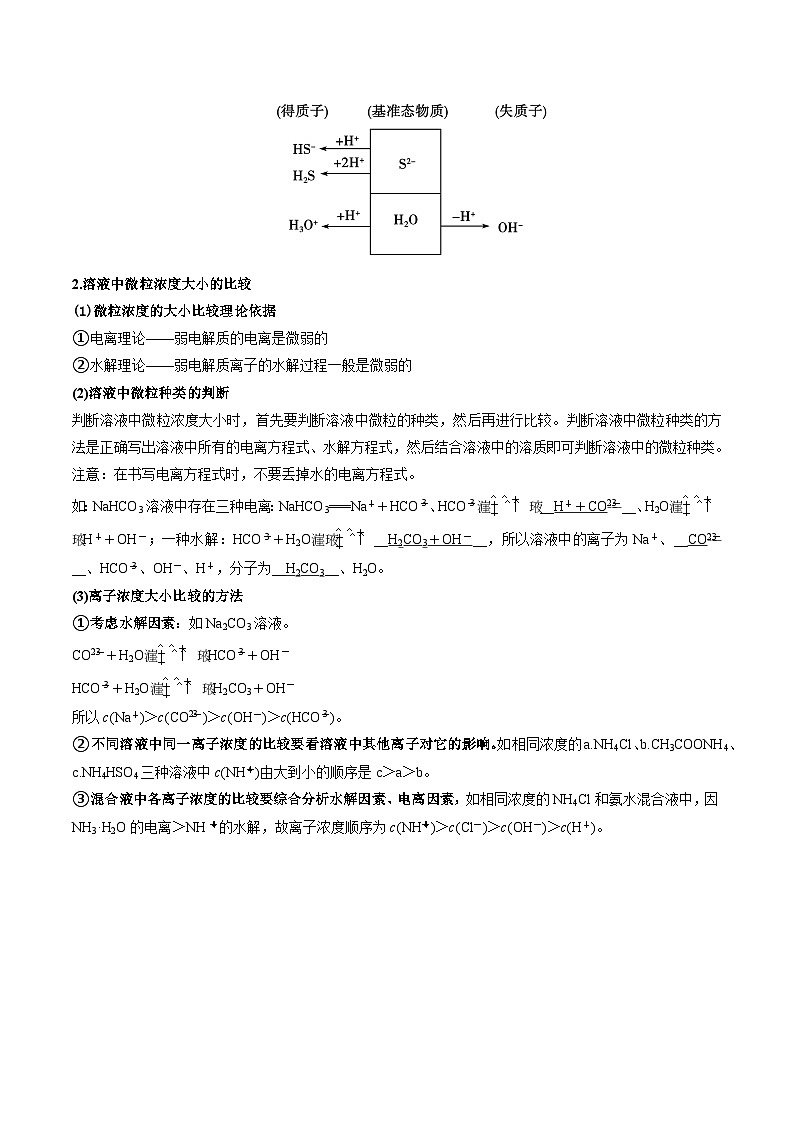 人教版（2019）高中化学选择性必修第一册 第三章《水溶液中的离子反应与平衡》单元复习讲义（解析卷）第2页