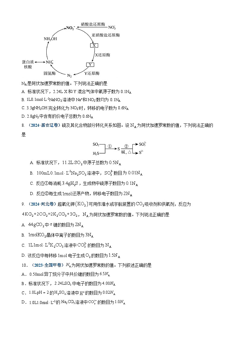 三年（2023-2025）高考化学真题分类汇编：专题02 化学计量（原卷版）第3页