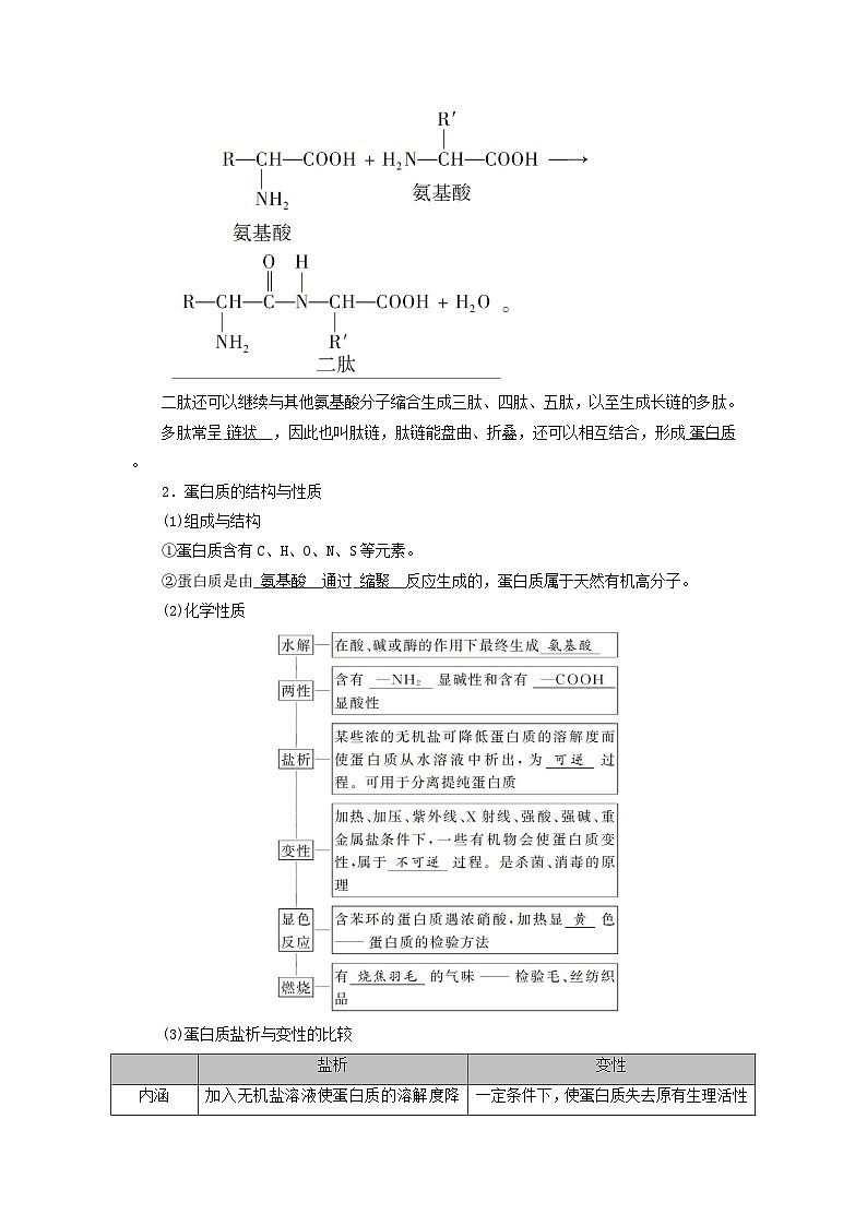 2026版高考化学一轮总复习知识梳理第九章有机化学基础第48讲生物大分子合成高分子考点二氨基酸和蛋白质试卷第2页