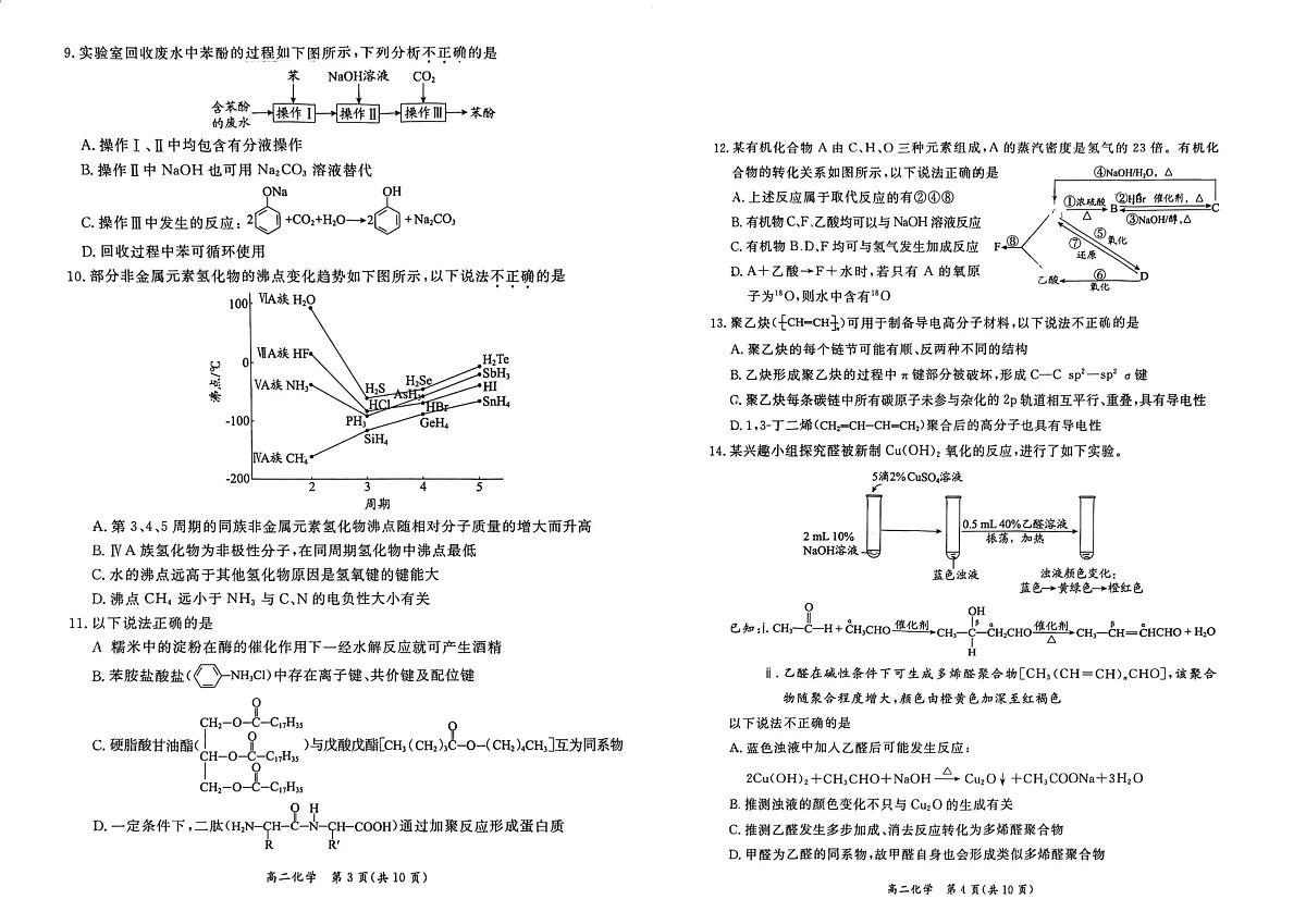 北京市东城区2024-2025学年度高二第二学期期末统一检测化学试卷（含答案）第2页