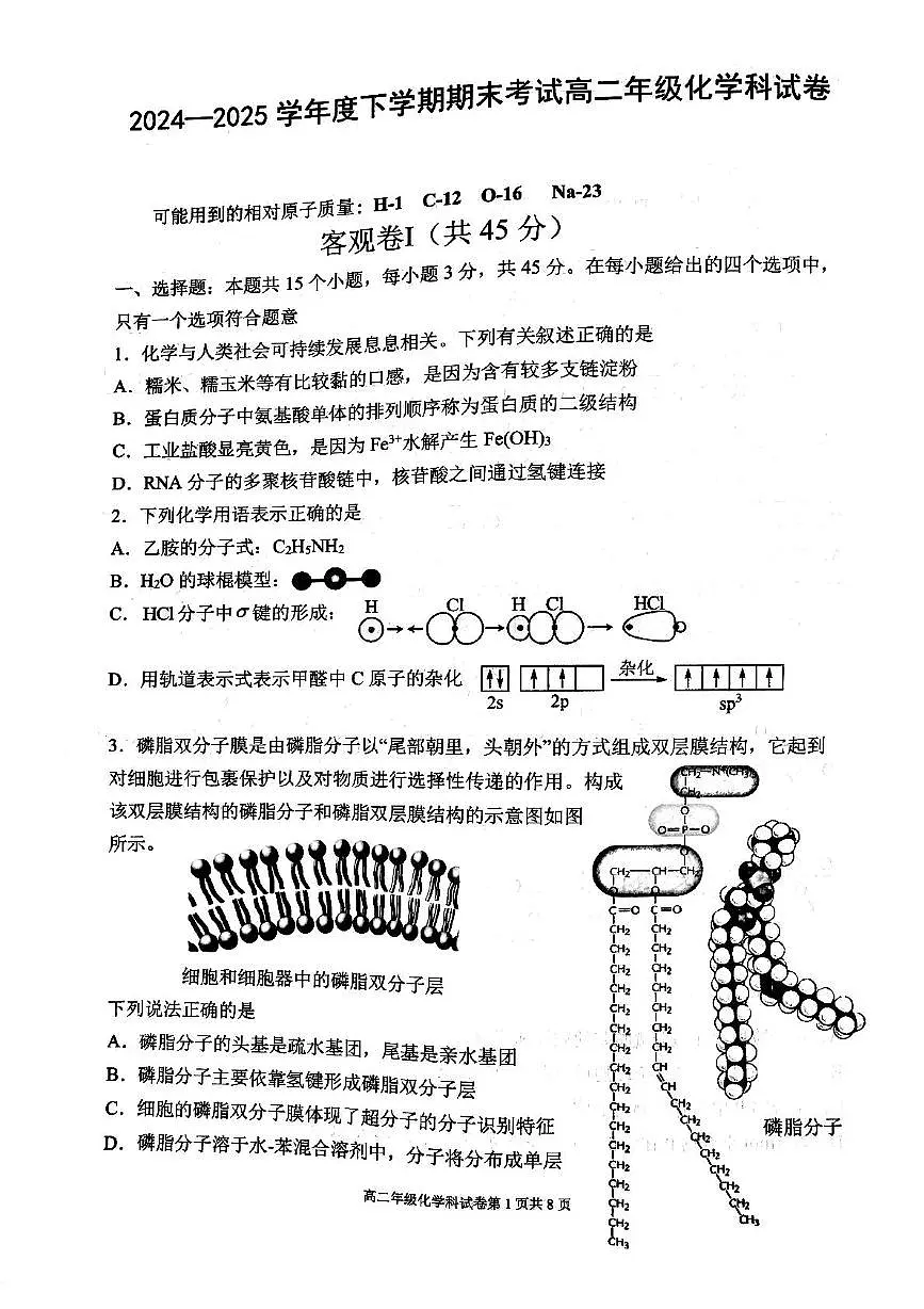 辽宁省五校联考2024-2025学年高二下学期期末考试化学试卷（图片版，含答案）第1页