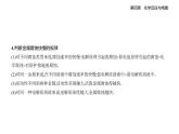 4.3金屬的腐蝕與防護知識點串講課件+分層訓(xùn)練-人教版高中化學(xué)高二上冊（選必一）