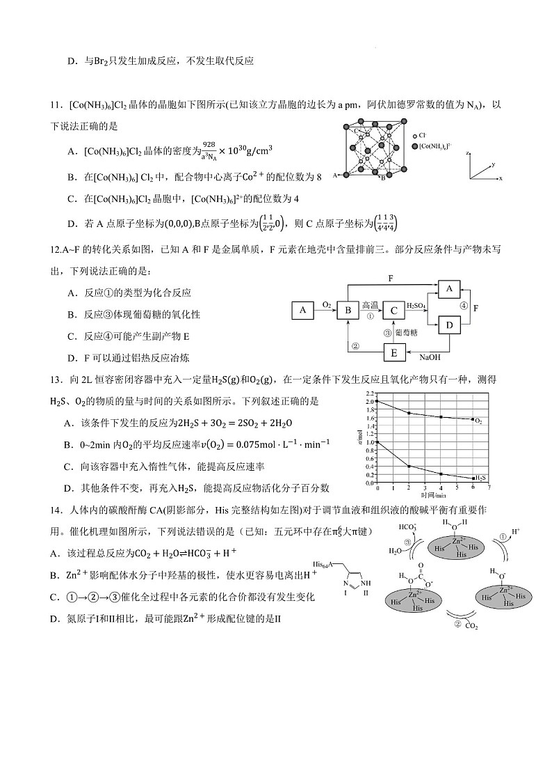 2025届四川省成都石室中学高三下学期10月考-化学试题（含答案）第3页