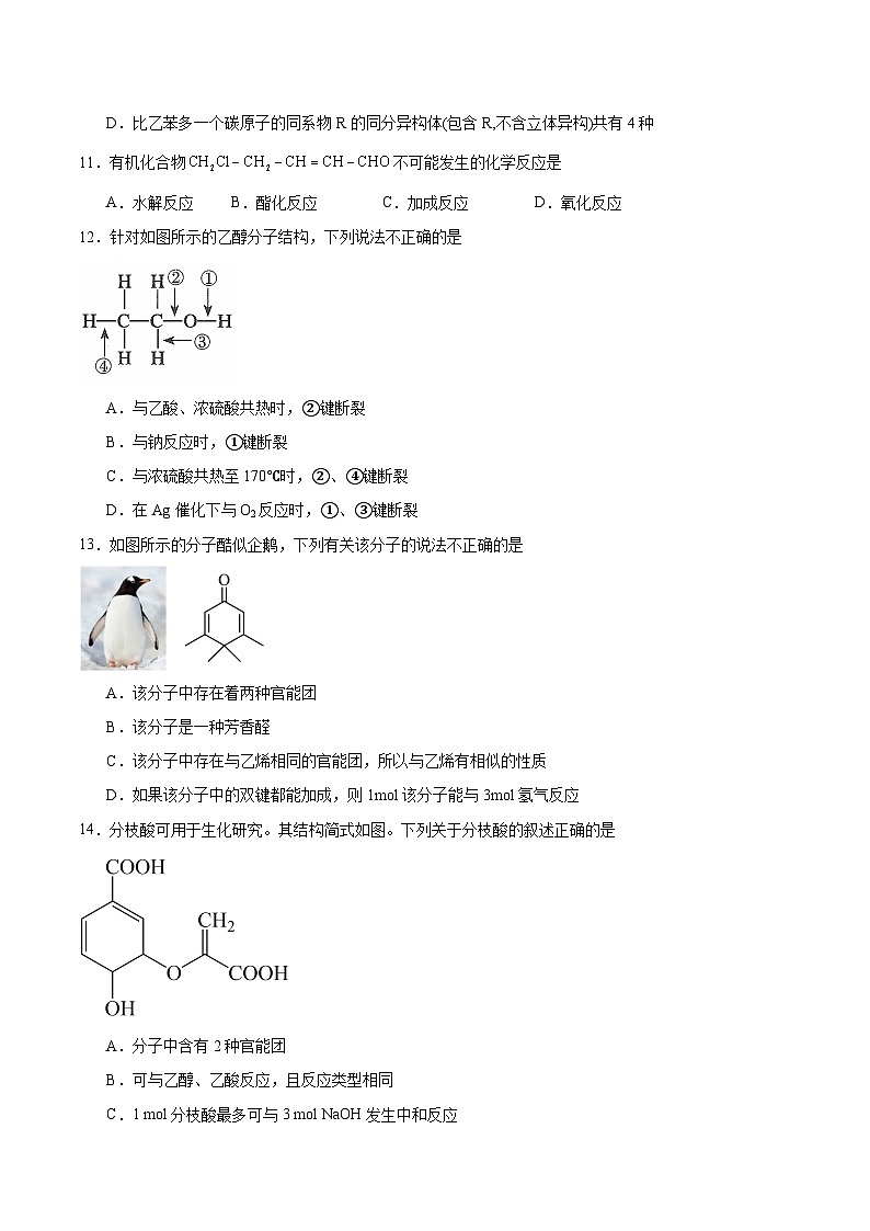 内蒙古巴彦淖尔市第一中学2024-2025学年高二下学期6月第四次诊断测试化学试卷（Word版附答案）第3页