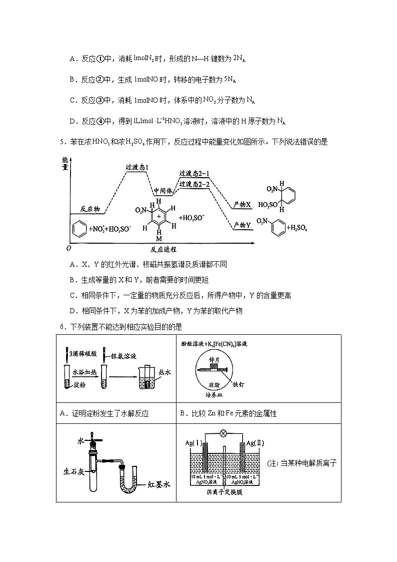 2025年四川省部分学校高三下学期第二次联考化学试题（无答案）第2页