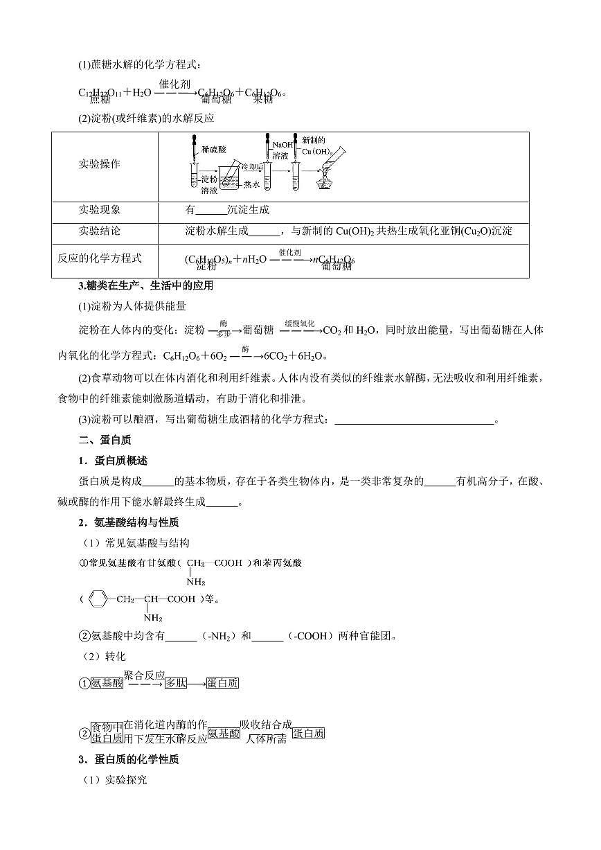 7.4 基本营养物质 (原卷版)第3页