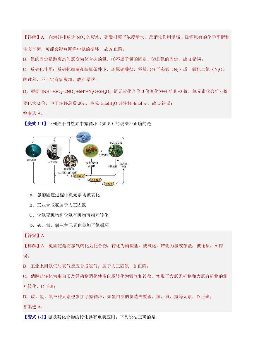 第五章第二节 氮及其化合物(十大题型)(解析版)第2页