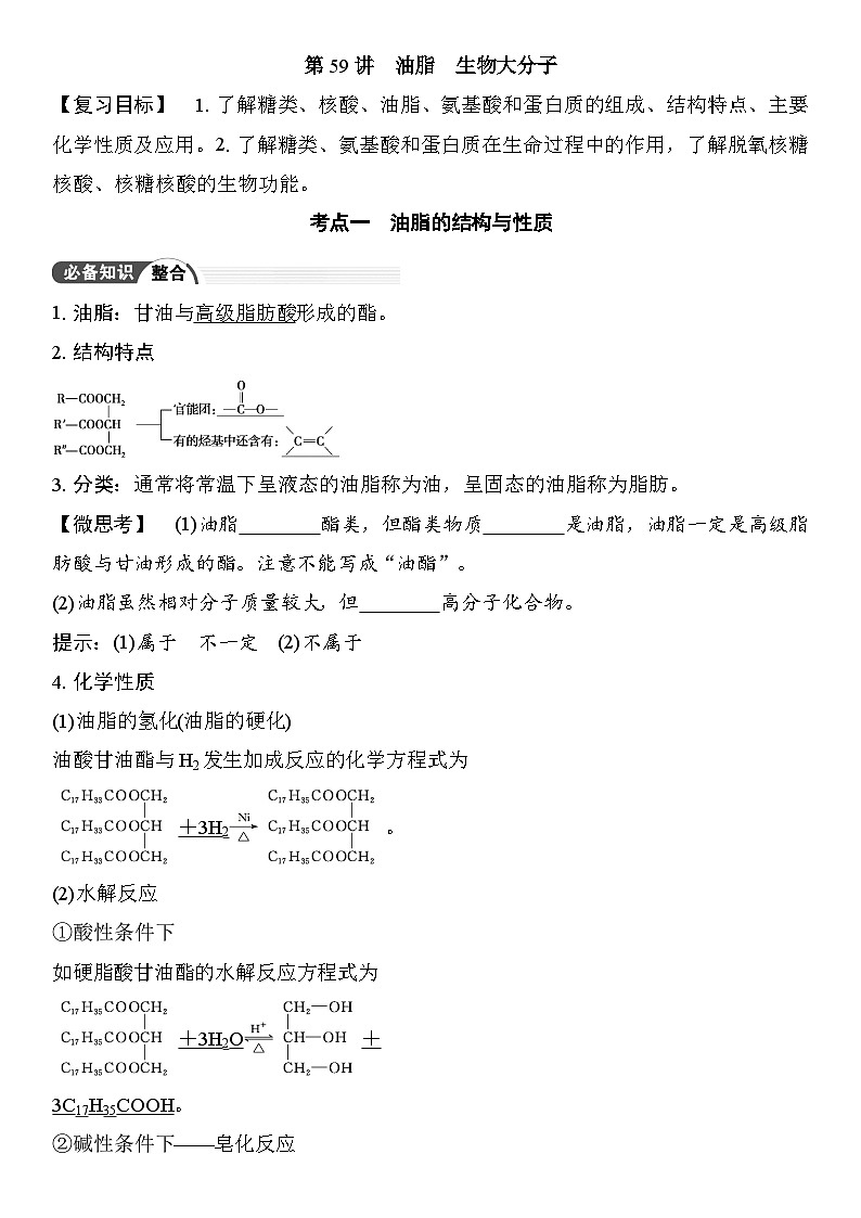 第59讲　油脂　生物大分子 （含答案 ） 2026届高三化学一轮总复习 教案第1页
