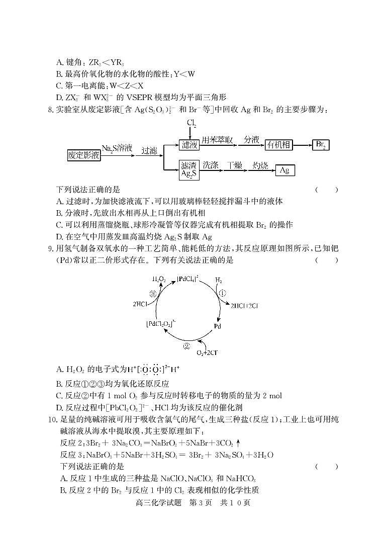 （教研室提供）山东省济宁市兖州区2024-2025学年高三上学期期中考试化学试题第3页