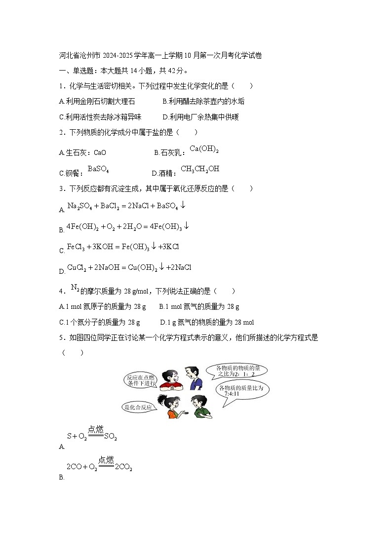 河北省沧州市2024-2025学年高一上学期10月第一次月考化学化学试卷（解析版）第1页