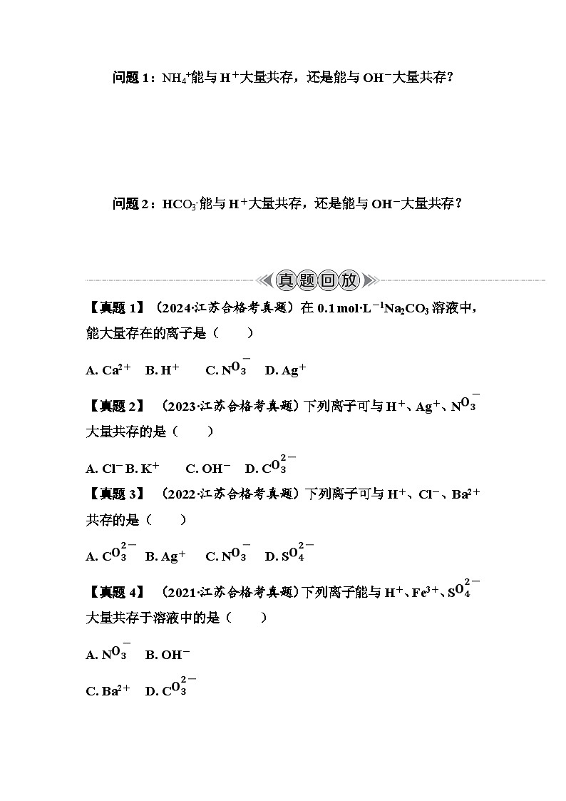 第6讲　离子共存  讲义 （含答案）江苏省2026年普通高中化学学业水平合格性考试第2页