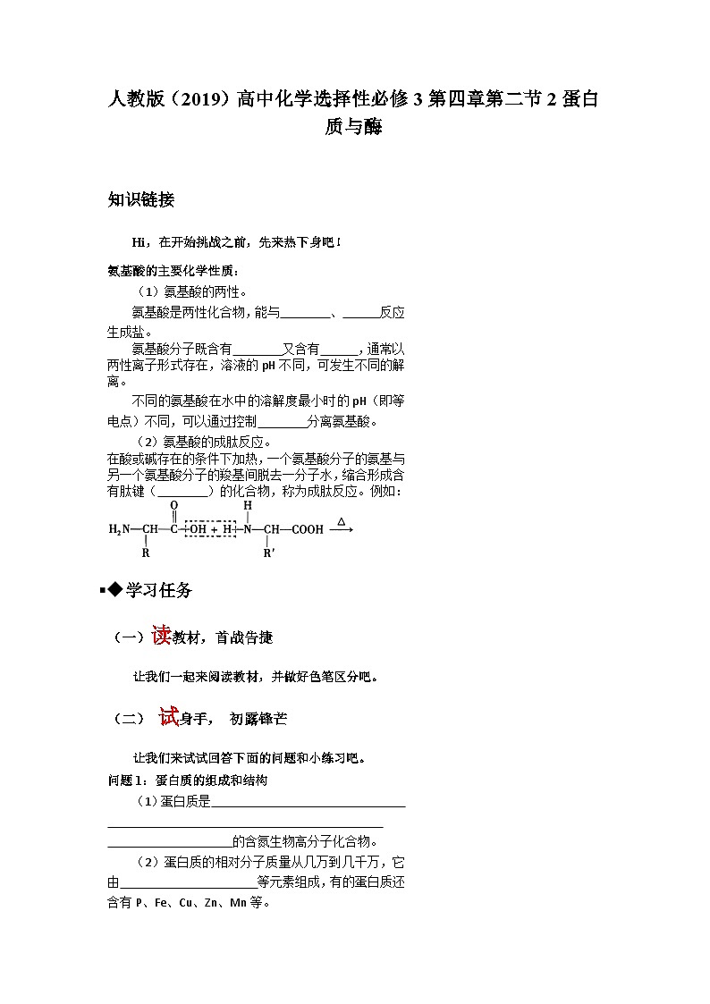 第四章第二节第2课时蛋白质与酶导学案 高中化学人教版（2019）选择性必修3第1页