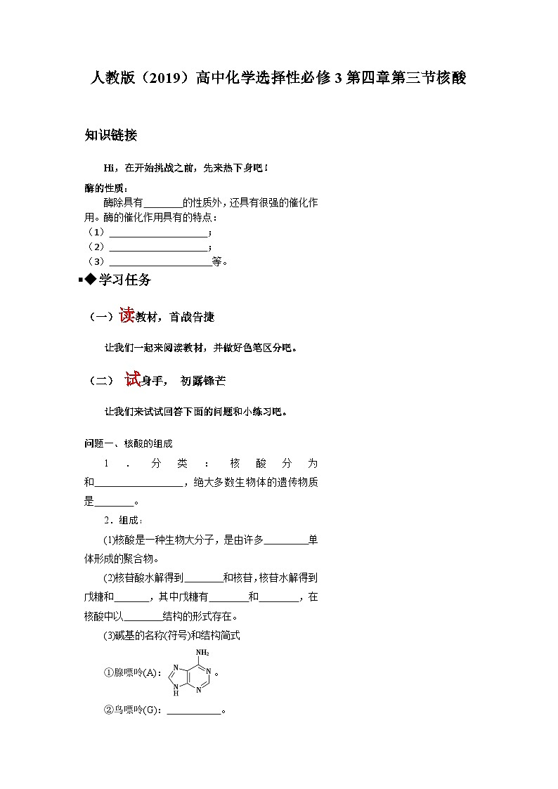 第四章第三节 核酸 导学案  高中化学人教版（2019）选择性必修3第1页