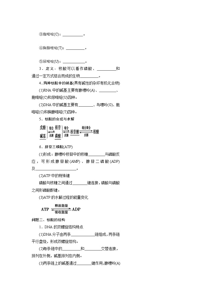 第四章第三节 核酸 导学案  高中化学人教版（2019）选择性必修3第2页