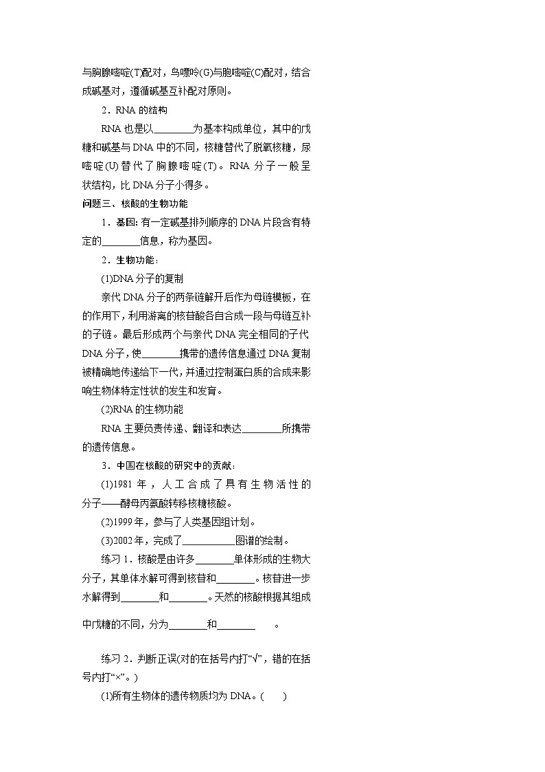 第四章第三节 核酸 导学案  高中化学人教版（2019）选择性必修3第3页