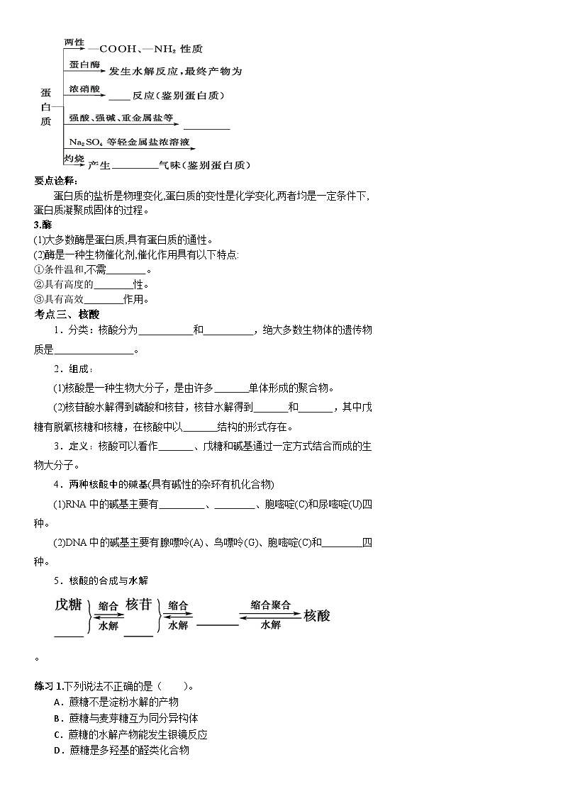 第四章生物大分子 全章复习 导学案  高中化学人教版（2019）选择性必修3第3页