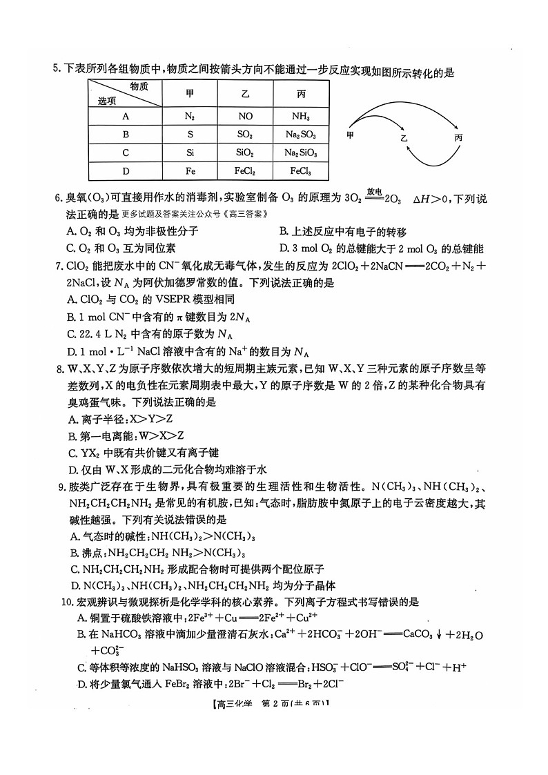 2025届河北省高三下学期10月考-化学试题（含答案）第2页