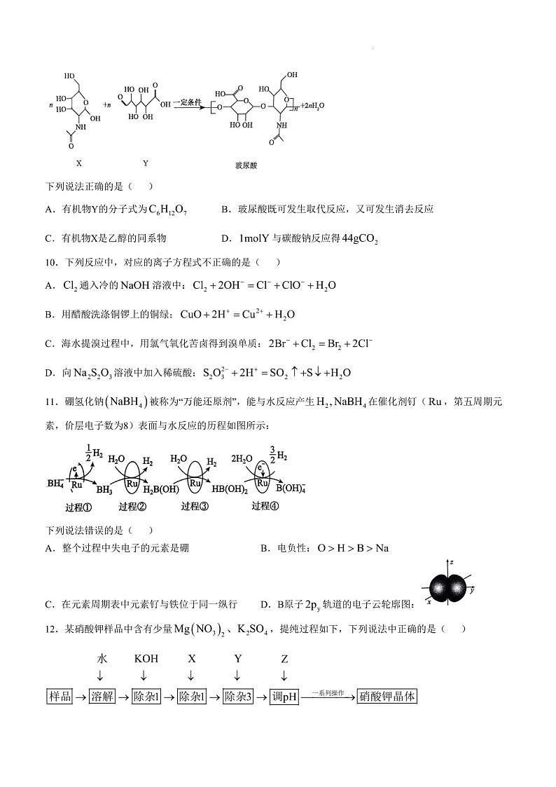 2025届黑龙江省绥化市绥棱一中高三下学期10月考-化学试题（含答案）第3页