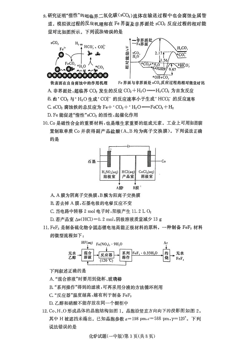 2025届湖南省长沙一中高三下学期11月考（三）-化学试题（学生版）第3页