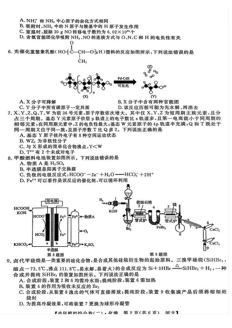 2025届河北省新高考高三下学期10月单科模拟综合卷（二）-化学试题（含答案）第2页