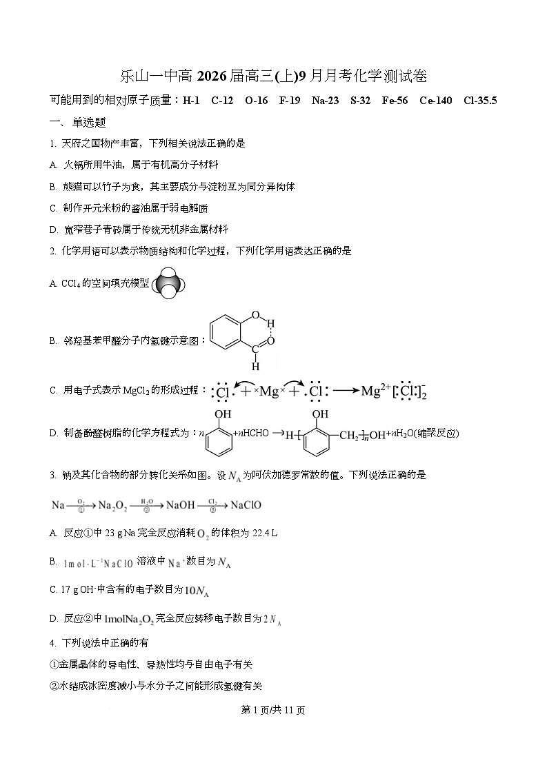四川省乐山第一中学2026届高三上学期9月月考 化学试卷（原卷版）第1页