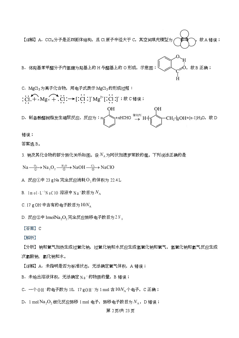 四川省乐山第一中学2026届高三上学期9月月考 化学试卷 Word版含解析第2页