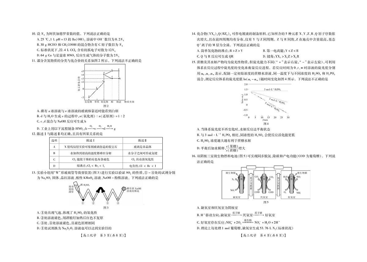 2025届湛江市普通高中高三10月调研测试化学试卷+答案第2页