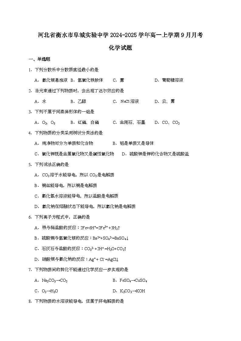 河北衡水阜城实验中学2024~2025学年高一上学期9月月考化学试题（含答案）第1页