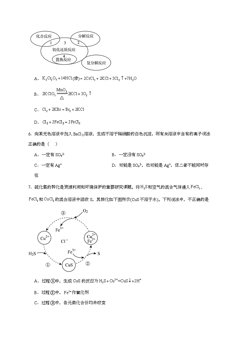 湖南邵阳市第二中学2024~2025学年高一上学期第一次月考化学试题（含答案）第2页