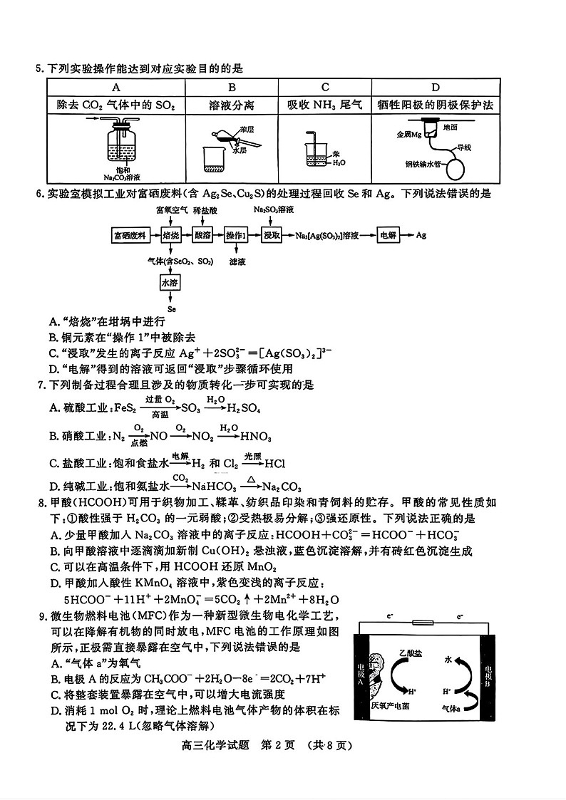 2025届山东省名校考试联盟高三下学期11月期中考-化学试卷（含答案）第2页