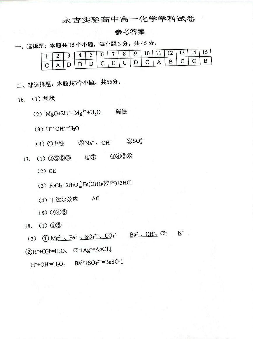 化学 高一分班考试化学答案第1页