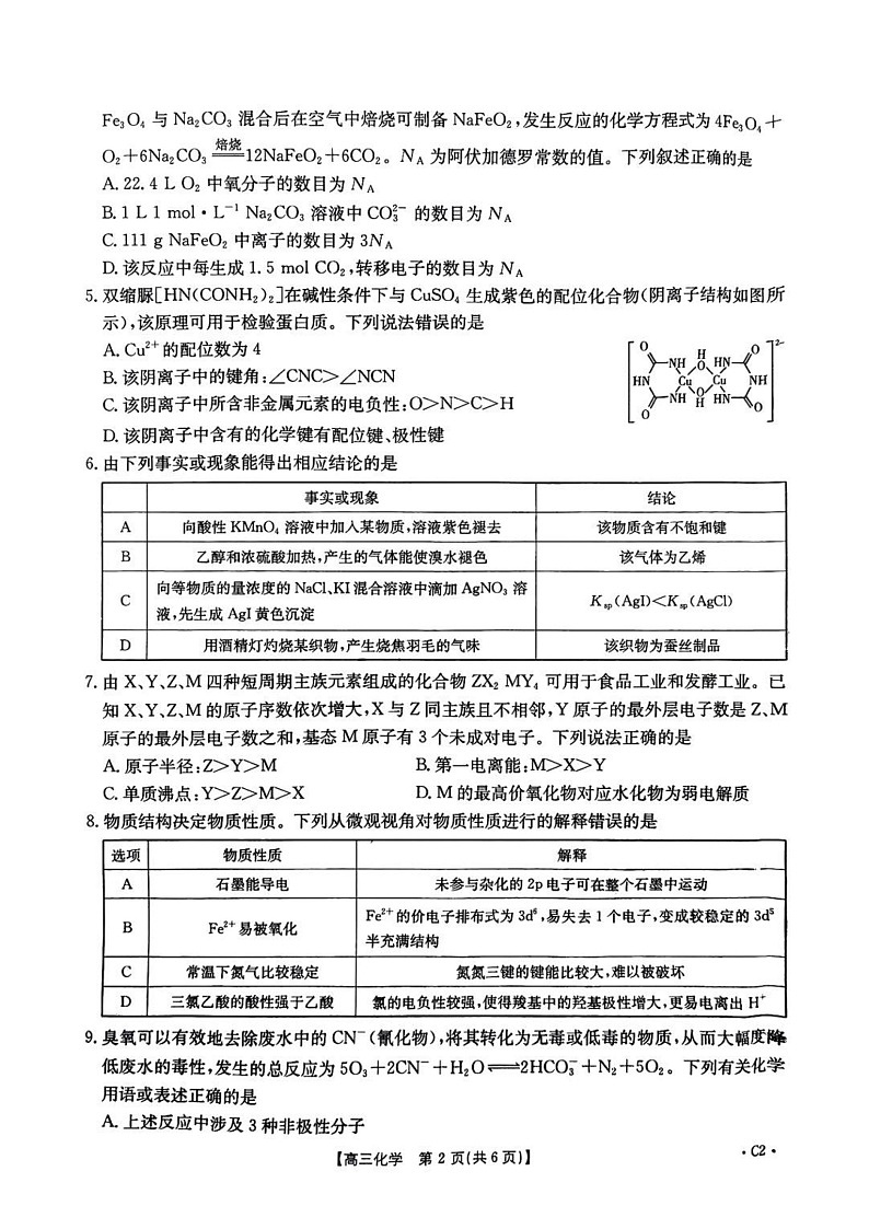 河北省邢台市金太阳2025届高三上学期12月联考化学试题（含答案）第2页