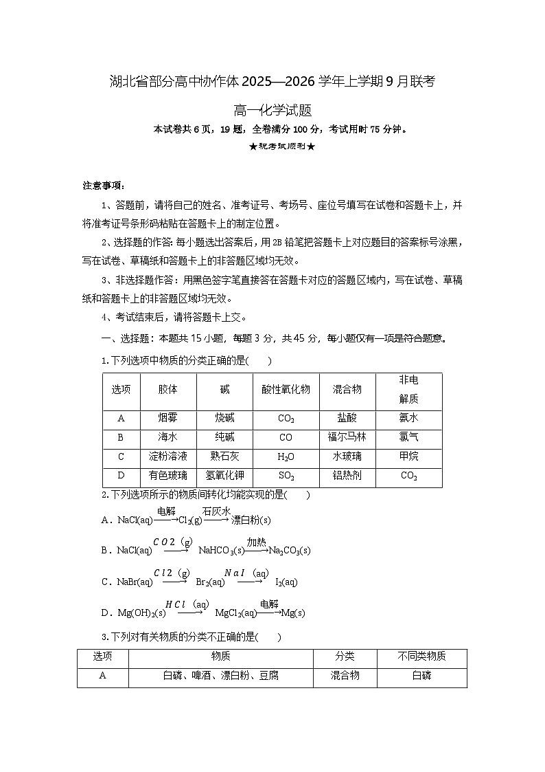 高一化学试题考试版第1页
